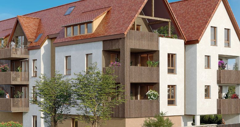 Achat / Vente programme immobilier neuf Obernai à deux pas du centre-ville (67210) - Réf. 13521