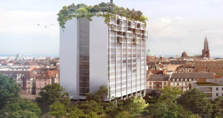 Achat / Vente programme immobilier neuf Strasbourg aux abords du place Haguenau (67000) - Réf. 13571